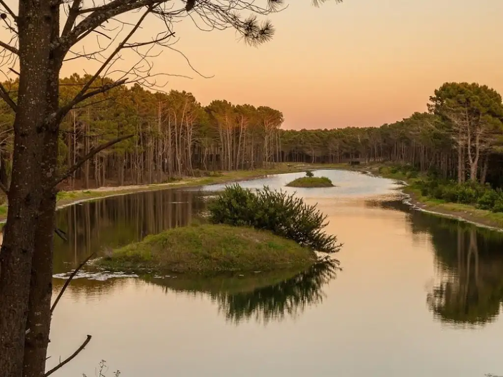 Actividades deportivas futbol, paddle, golf, tenis, polo, hockey en Villarobles