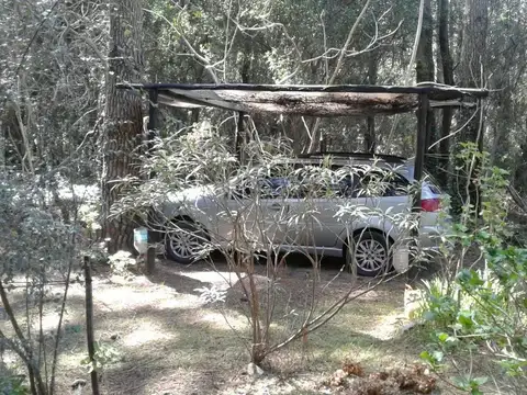 Los Claveles e/ Las Orquídeas y Las Violetas