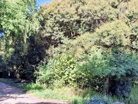 Terreno en Venta 8,66  mts Frente