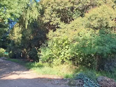 Venta de terrenos en Sicardi, sobre calle 9 entre 659 y 660 a metros del asfalto