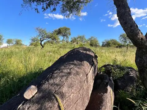 Terreno en Venta de 1344,0 m2