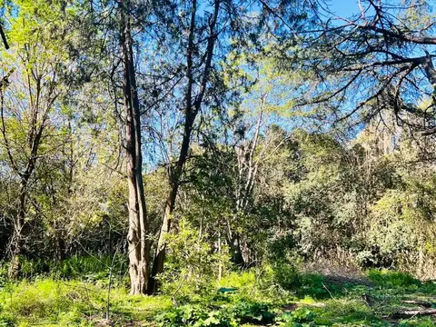 Terreno en Venta de 1500,0 m2