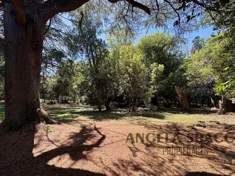 Cedro, Parque Jularo.