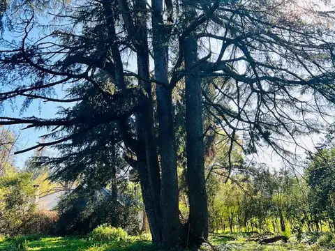 Terreno en Venta de 1500,0 m2