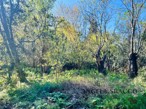 Terreno en Venta en Parque Jularó, USD 38.000