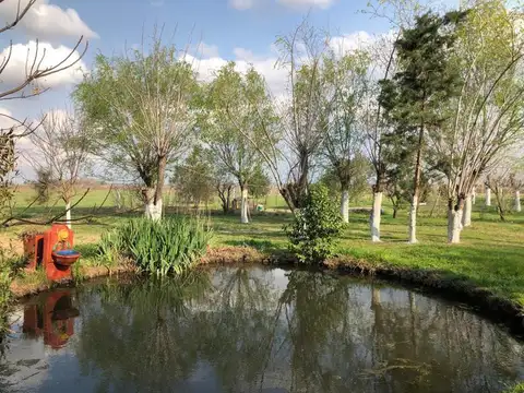 Finca en Funes  - Zona  Norte
