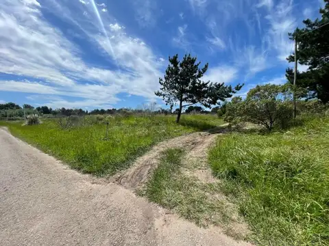 22 bis entre 37 y 39