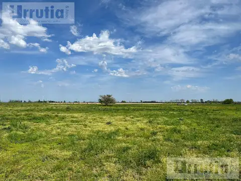 Ruta 6