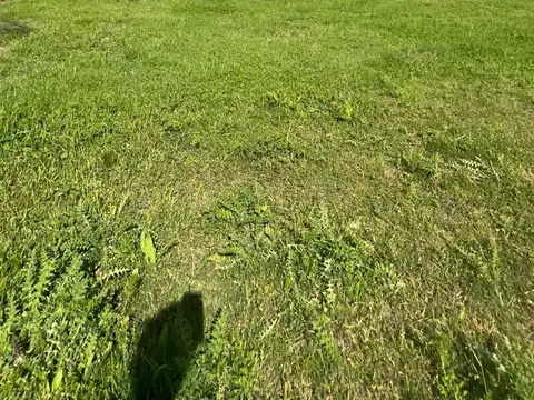 Terreno en Venta de 1006,0 m2