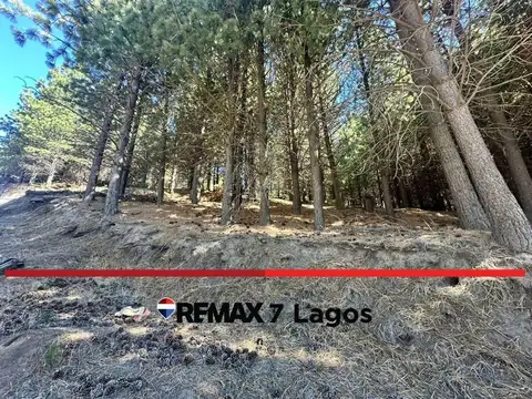 Terreno en Venta en San Martin de los Andes, Lácar