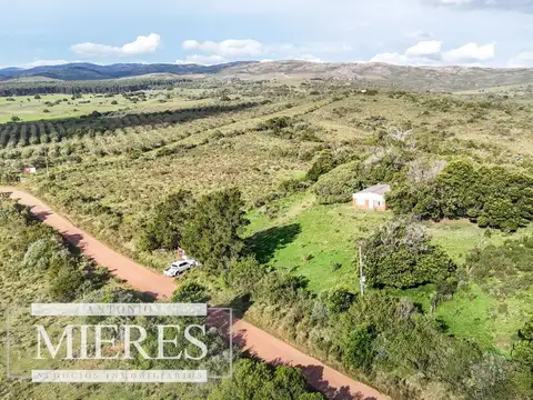 Chacra en venta de 3 ha con casa para reciclar Maldonado Uruguay