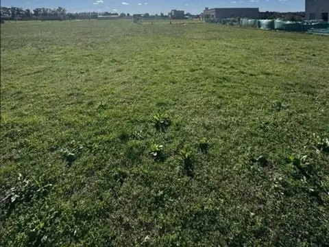 Terreno en Venta de 1000,0 m2
