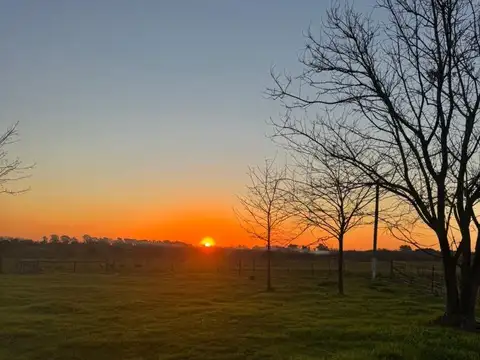 Lote / quinta de 2300 m2 Libertad - Merlo Prov. Buenos Aires