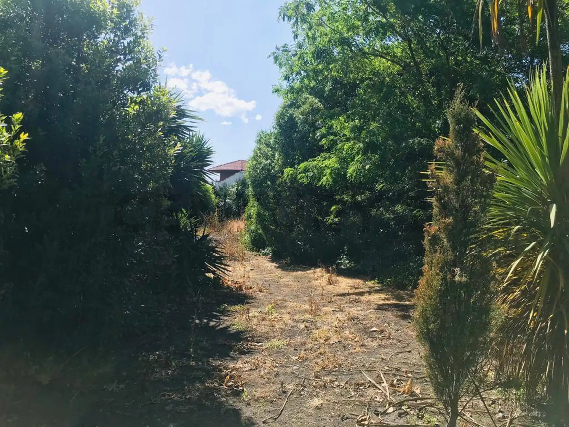 Terreno en venta en Barrio San Carlos ID 20074