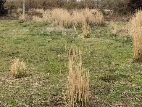 Terreno en Venta en Sarmiento, USD 14.000