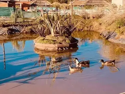 Terreno en Venta 30  mts Fondo