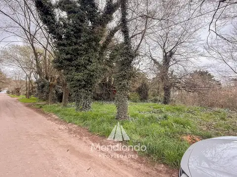 Terreno en Venta 25  mts Fondo