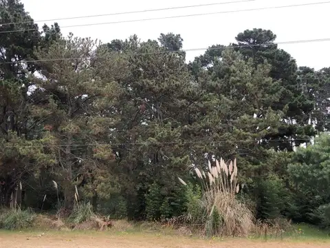 Venta -Lote - Costa Del Este