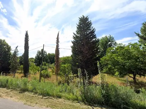 TERRENO EN VENTA  3.830 m²-TUNUYÁN, MENDOZA