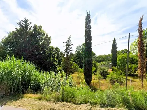 Terreno en Venta en Tunuyan, USD 79.500