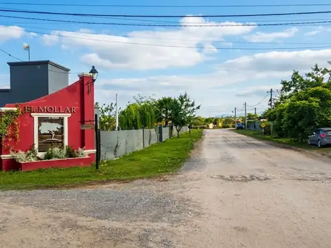VENTA TERRENO EL MOLLAR CAMINO A COLON RUTA 24