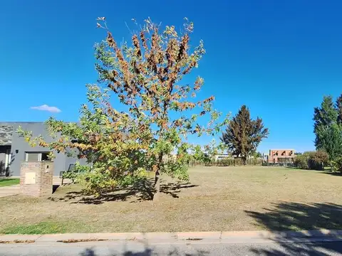 Terreno en Venta en Santa Juana, USD 48.000
