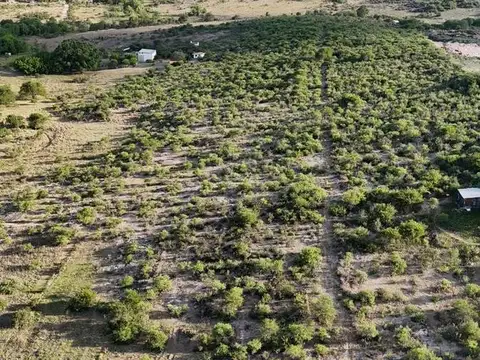 VENTA 8 HECTÁREAS CON UNA CASA Y 2 GALPONES.  VILLA GARCÍA, TANTI