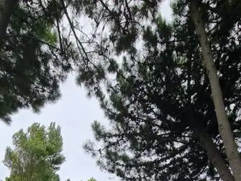 Casa 5 ambientes con 5 baños