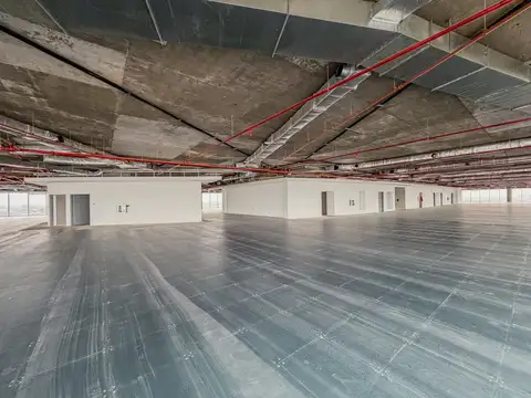 Alquiler - Oficinas - Vicente Lopez - Superficies de 810m2 - 1867m2 - 2166m2 - 4061m2