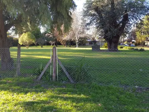 Venta Casa Chacra oportunidad Lote de 1.9 Ha en Zelaya Pilar