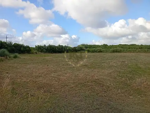 VENTA TERRENO LOGISTICO MELILLA IDEAL INVERSION RUTA 102 y 5