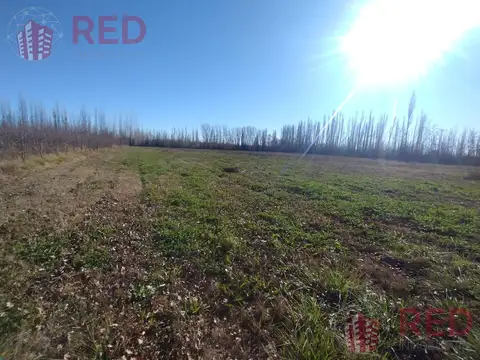 Terreno en Cervantes