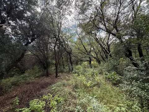 Terreno en Venta en Las Chacras, USD 23.000