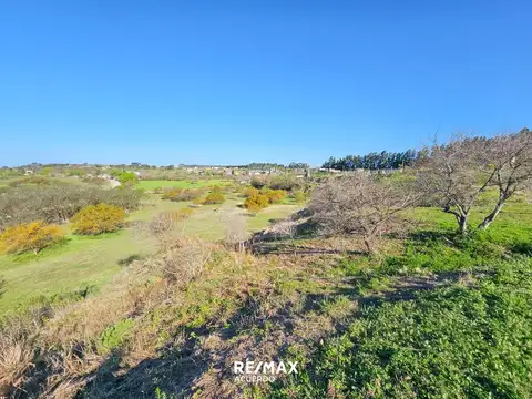 Cijon Vivero Los 2 Pinos y San Lorenzo