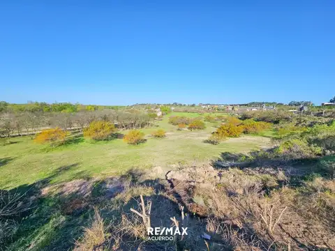 Cijon Vivero Los 2 Pinos y San Lorenzo