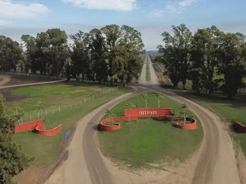 Terreno en Venta 25  mts Frente