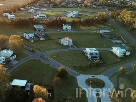 Azurra Tortugas - Lote 14