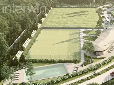 Azurra Tortugas - Lote 14