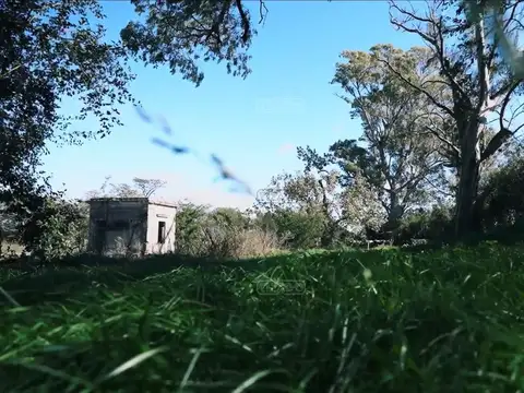 BARRIO CARABASSA 100