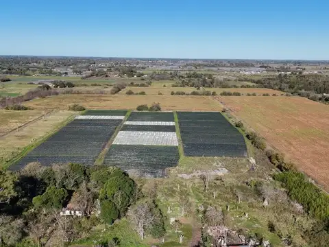 Avenida Ingeniero Allan