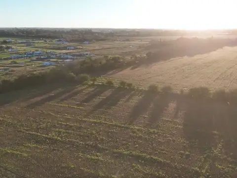 Avenida Ingeniero Allan