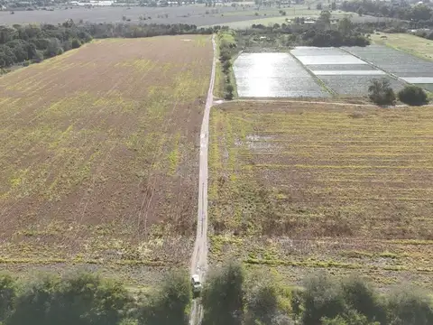 CAMPO DE 31,5 HAS. A 3000 MTS DE RUTA 2.  EL PATO