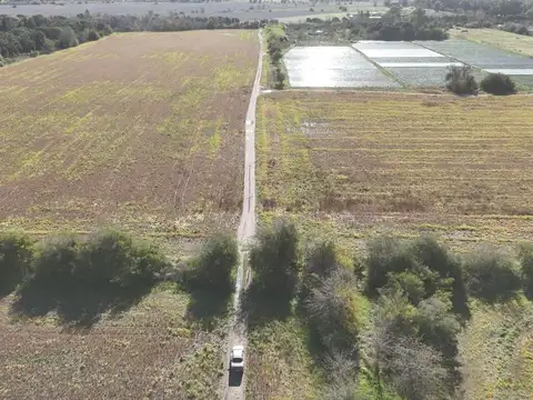CAMPO DE 31,5 HAS. A 3000 MTS DE RUTA 2.  EL PATO
