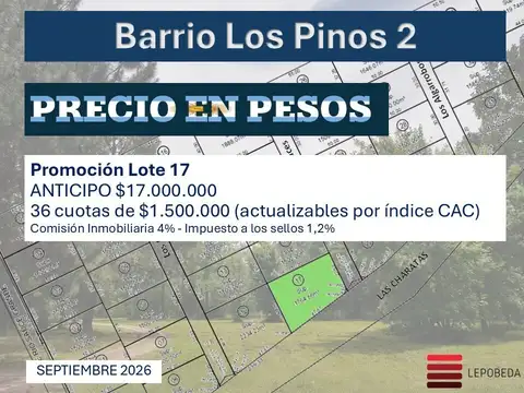 LOS PINOS - LOS PINOS II 100