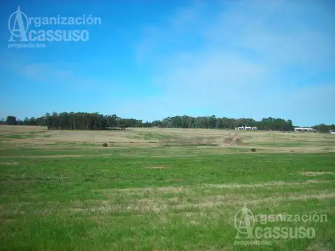 Terreno en Venta en Maldonado, USD 120.000