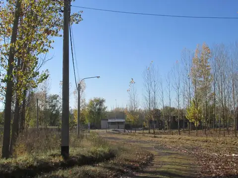 Terreno en Venta de 1000,0 m2