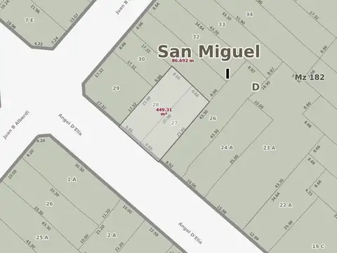 Ángel D'Elía al 300