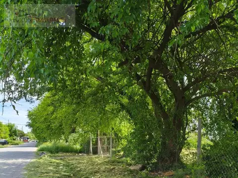 Terreno en venta de 15 x 30 mts en Los Hornos, La Plata