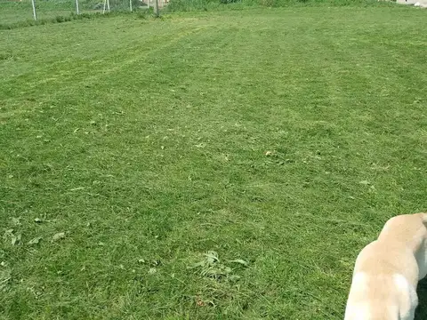 Terreno en Venta 30  mts Fondo