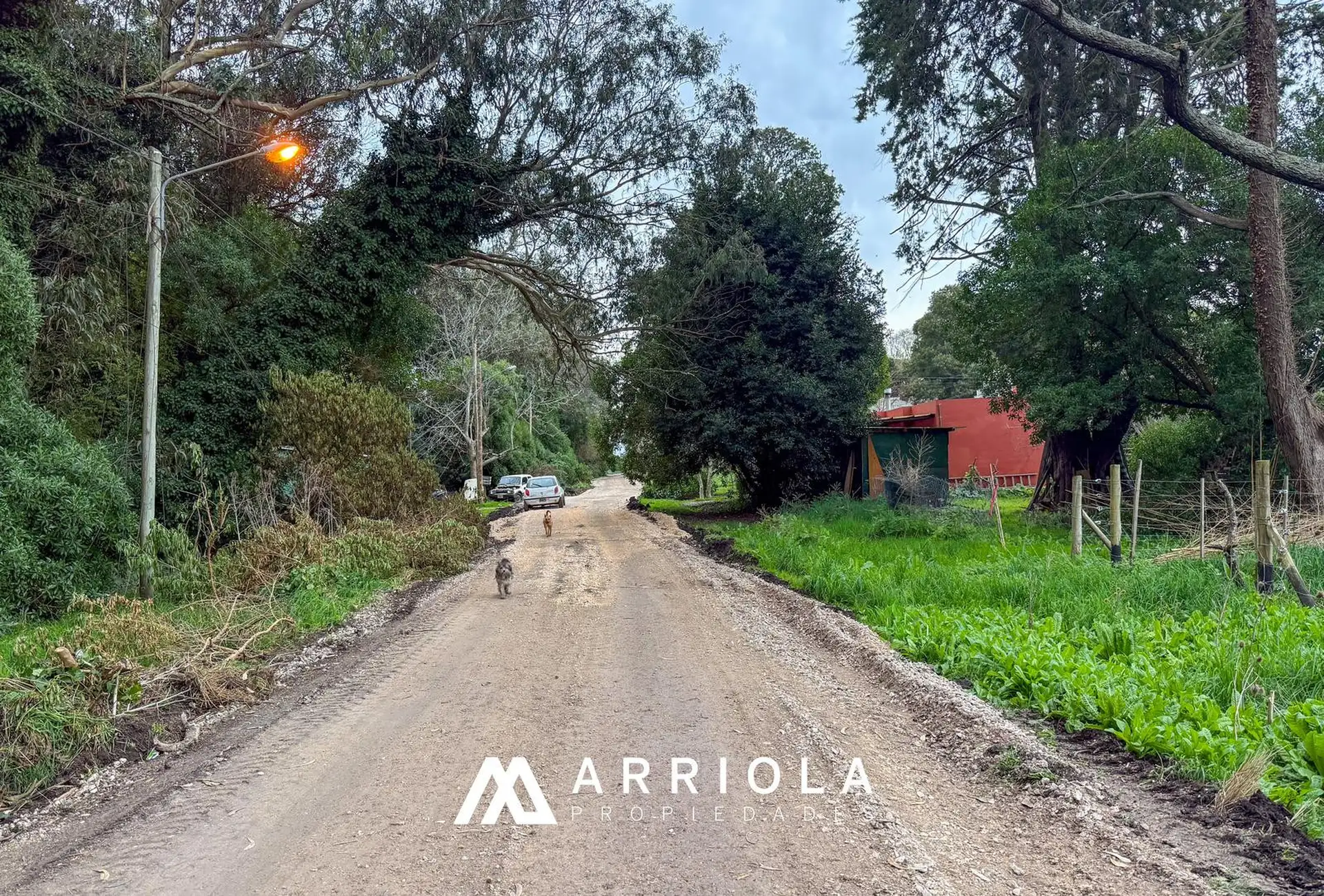 Terreno en Los Acantilados